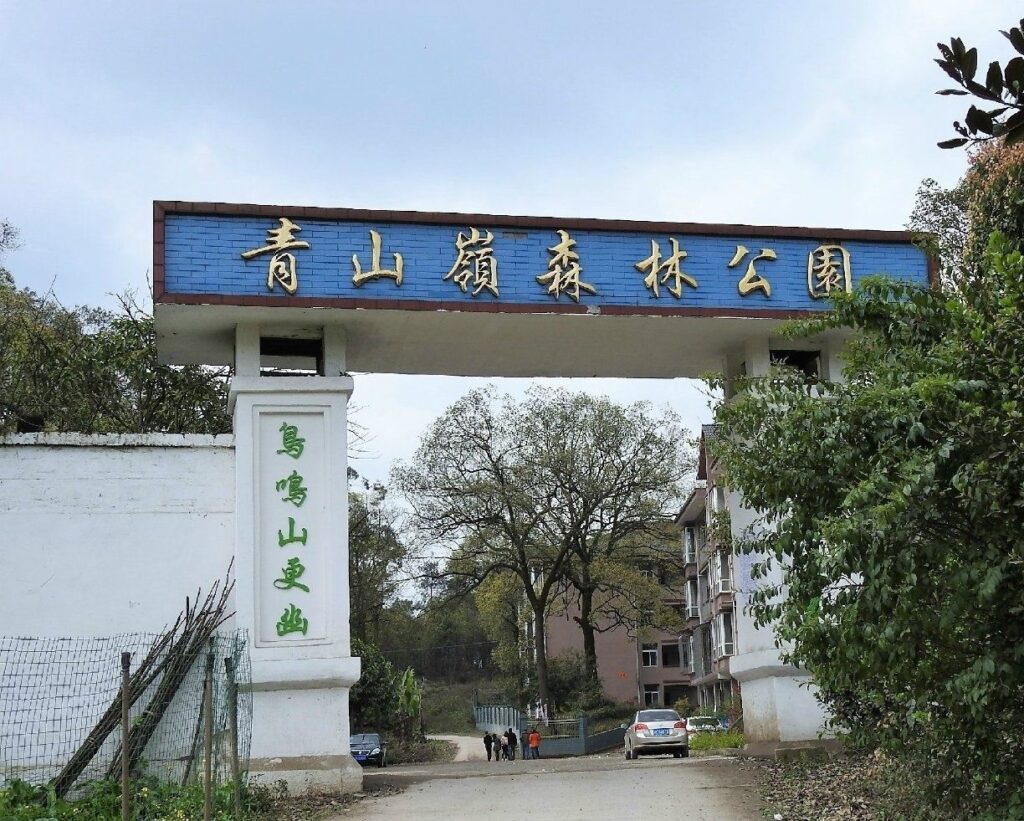 Qingshanling Forest Park – A Scenic Spot in Fushun County