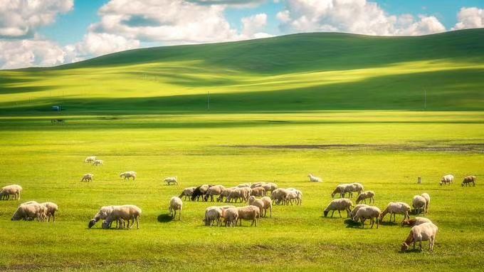 Sichuan-Tibet South Line: A Scenic Journey from Chengdu to Lhasa